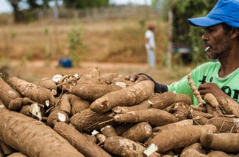 MTur participa de encontro para discutir o desenvolvimento local